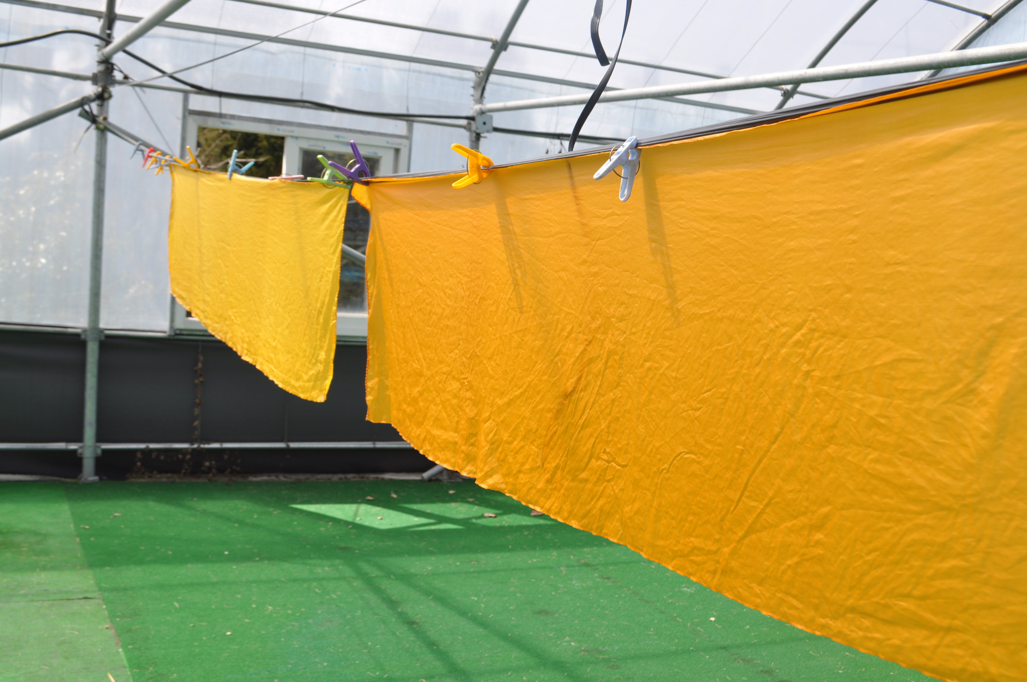 천연염색교실 2회차